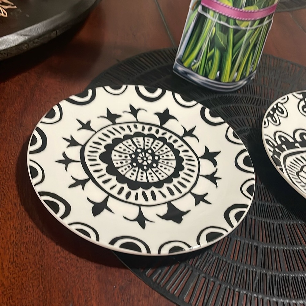 Pier 1 Stoneware Salad Plates. Need a replacement? No chips or cracks.